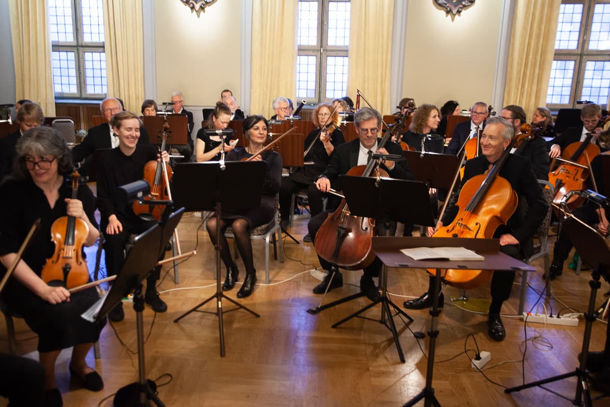 Jubileumsfest bild 9